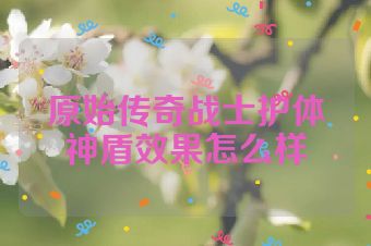原始传奇战士护体神盾效果怎么样