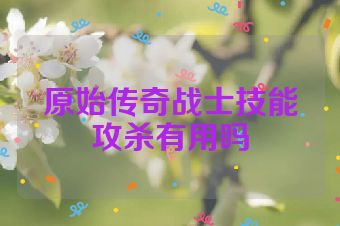 原始传奇战士技能攻杀有用吗