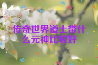 传奇世界道士带什么元神比较好