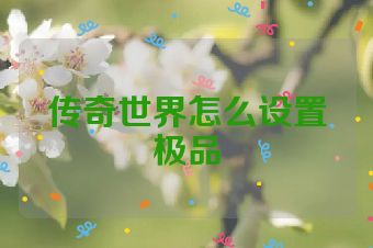 传奇世界怎么设置极品