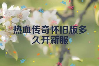 热血传奇怀旧版多久开新服