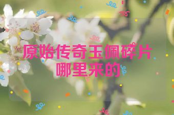 原始传奇玉佩碎片哪里来的