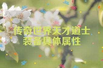 传奇世界天才道士装备具体属性