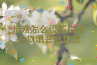 传奇怎么设置指定人物爆装备信息