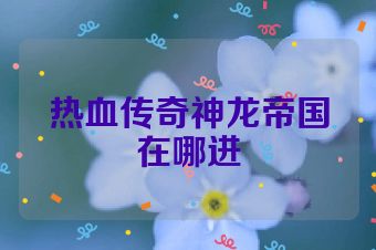 热血传奇神龙帝国在哪进