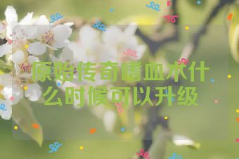 原始传奇嗜血术什么时候可以升级
