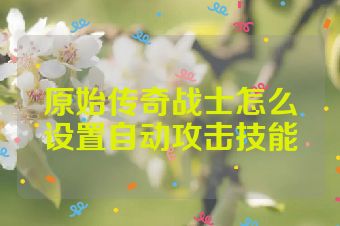 原始传奇战士怎么设置自动攻击技能