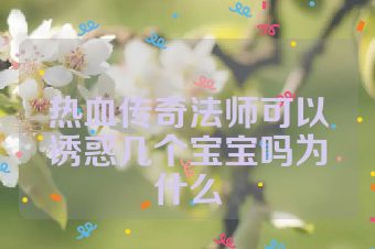 热血传奇法师可以诱惑几个宝宝吗为什么