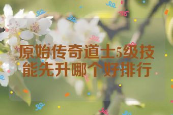 原始传奇道士5级技能先升哪个好排行