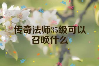 传奇法师35级可以召唤什么