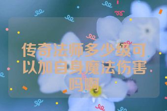 传奇法师多少级可以加自身魔法伤害吗啊