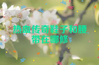 热血传奇鞋子和腰带在哪修