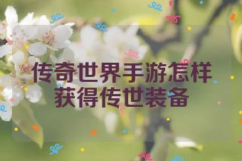 传奇世界手游怎样获得传世装备