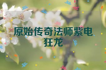 原始传奇法师紫电狂龙