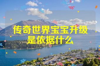 传奇世界宝宝升级是依据什么