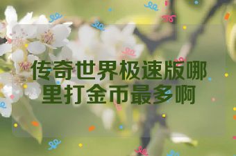 传奇世界极速版哪里打金币最多啊