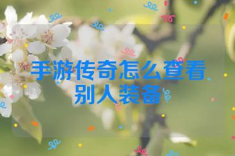 手游传奇怎么查看别人装备