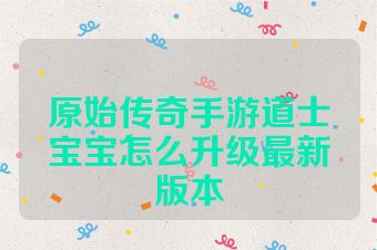 原始传奇手游道士宝宝怎么升级最新版本