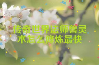 传奇世界法师兽灵术怎么修炼最快