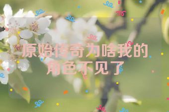 原始传奇为啥我的角色不见了