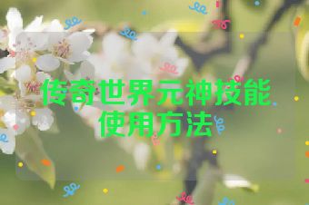 传奇世界元神技能使用方法