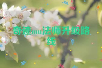 奇迹mu法师升级路线