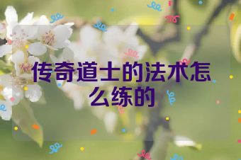 传奇道士的法术怎么练的