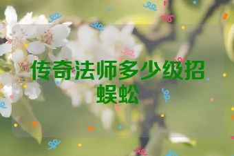 传奇法师多少级招蜈蚣