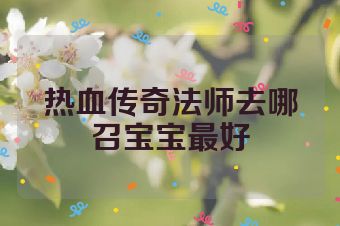 热血传奇法师去哪召宝宝最好
