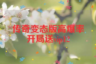 传奇变态版高爆率开局送vip12