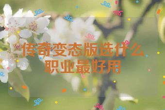 传奇变态版选什么职业最好用