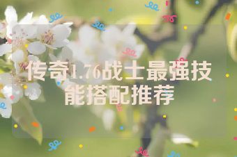传奇1.76战士最强技能搭配推荐