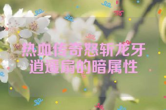 热血传奇怒斩龙牙逍遥扇的暗属性