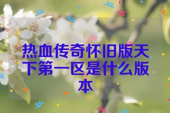 热血传奇怀旧版天下第一区是什么版本