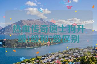 热血传奇道士狗升级1级和7级区别