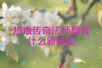 热血传奇法师都有什么新技能