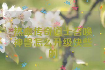 热血传奇道士召唤神兽怎么升级快些的
