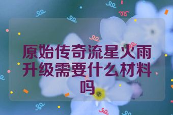 原始传奇流星火雨升级需要什么材料吗