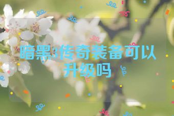 暗黑3传奇装备可以升级吗