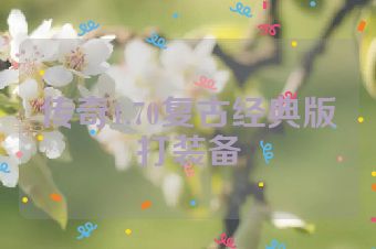 传奇1.70复古经典版打装备