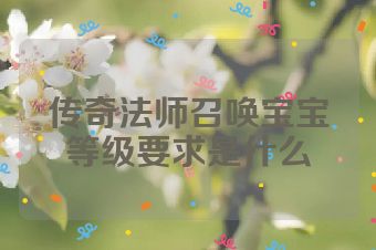 传奇法师召唤宝宝等级要求是什么