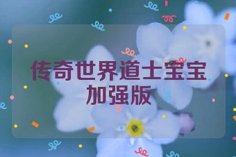 传奇世界道士宝宝加强版