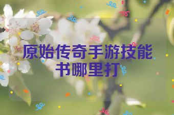 原始传奇手游技能书哪里打