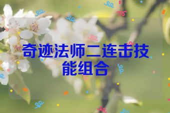 奇迹法师二连击技能组合
