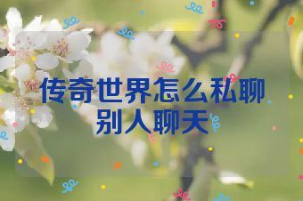 传奇世界怎么私聊别人聊天
