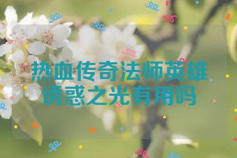 热血传奇法师英雄诱惑之光有用吗