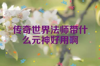 传奇世界法师带什么元神好用啊