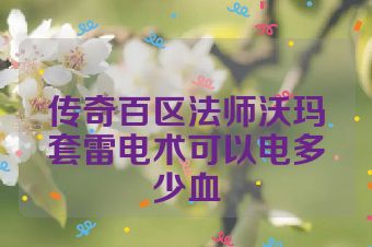 传奇百区法师沃玛套雷电术可以电多少血