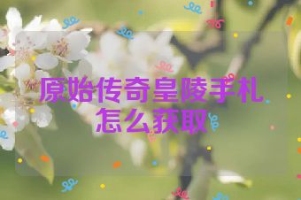 原始传奇皇陵手札怎么获取