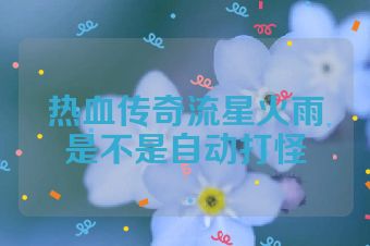 热血传奇流星火雨是不是自动打怪
